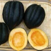 Ebony Acorn Winter Squash -Deals Petal Inn Store 03650