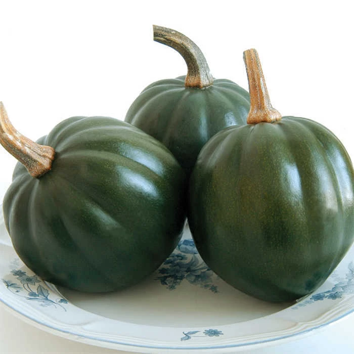 Honey Bear Hybrid Acorn Squash 3 Honey Bear Hybrid Acorn Squash