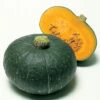 Maxima Sweet Mama Hybrid Winter Squash -Deals Petal Inn Store 03669b