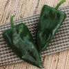 Trident Hybrid Poblano Pepper -Deals Petal Inn Store 03794