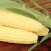 Bodacious RM Untreated Hybrid Sweet Corn -Deals Petal Inn Store 03905