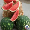 Cal Sweet Bush Watermelon -Deals Petal Inn Store 04034 AH