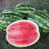 Crimson Sweet Watermelon -Deals Petal Inn Store 04045 HV