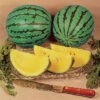 Yellow Doll Hybrid Watermelon -Deals Petal Inn Store 04140