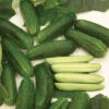 Organic Diamant Hybrid Cucumber -Deals Petal Inn Store 04934