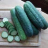 Organic Straight Eight Cucumber -Deals Petal Inn Store 04935