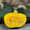 Maxima Organic Burgess Buttercup Squash -Deals Petal Inn Store 04974