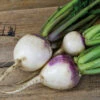 Purple Top White Globe Organic Turnip -Deals Petal Inn Store 04995b