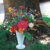 Various Garden Splendor Annual Flower Mix -Deals Petal Inn Store 08211