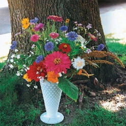 Various Garden Splendor Annual Flower Mix