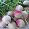 Red Head Radish 1 Red Head Radish -Deals Petal Inn Store 7046 5464 popup