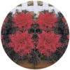 Red Peacock&trade; Hybrid Flowering Kale -Deals Petal Inn Store 7056 5462 popup