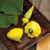 Sunburst Hybrid Summer Squash -Deals Petal Inn Store Squash Sunburst 03585